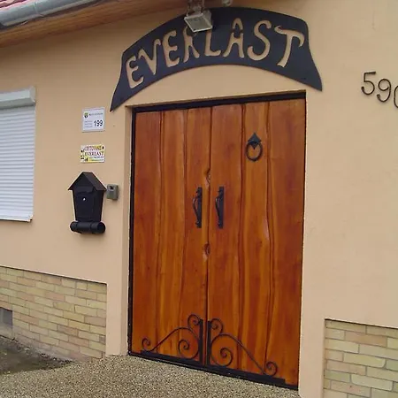 Gæstehus Everlast Štúrovo
